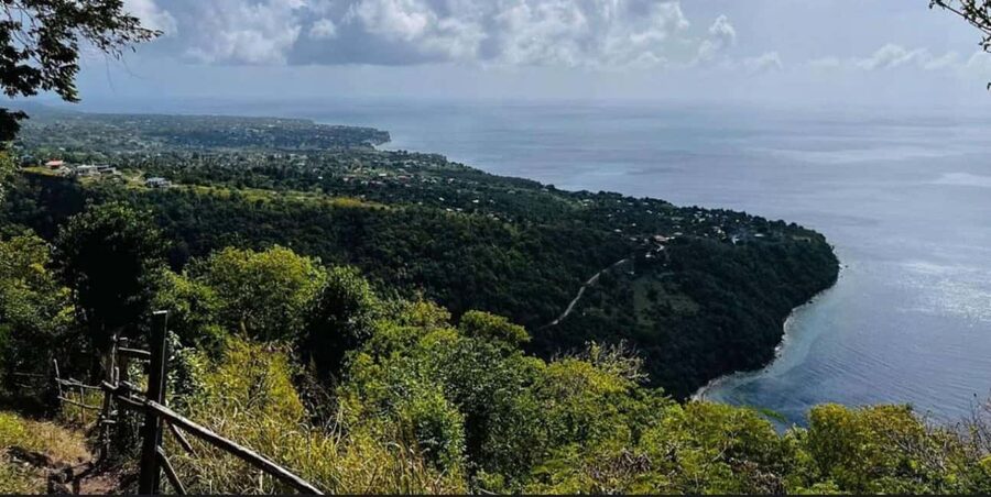 St. Lucia: Scenic Nature Hike & Botanical Garden Escape - What the guides add