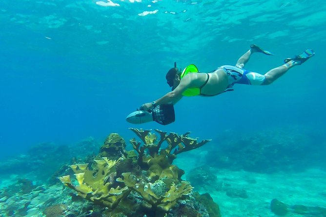 St. Lucia Speedboat and Power Snorkel From Castries - Key points at a glance