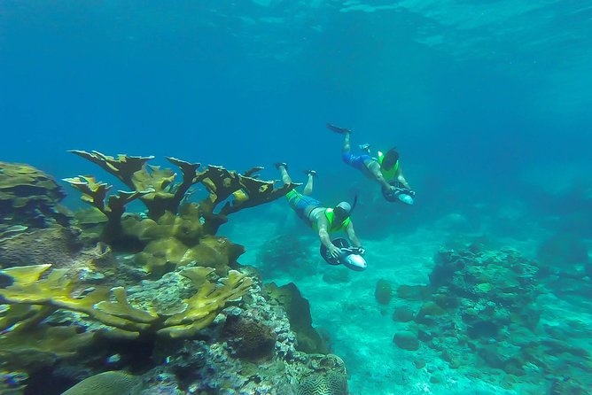 St. Lucia Speedboat and Power Snorkel From Castries - Practical details before you book