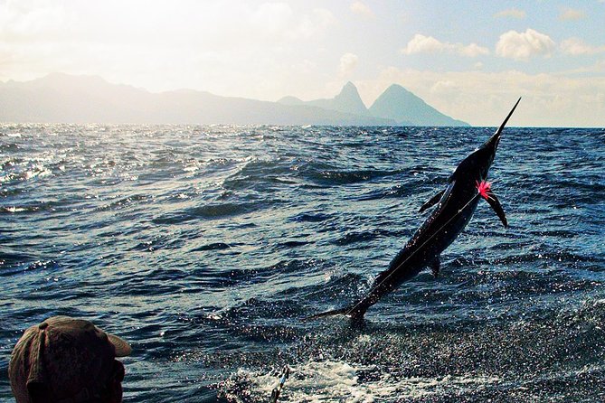 St Lucia Sport Fishing Tour - Setting out from Castries on a Bertram boat
