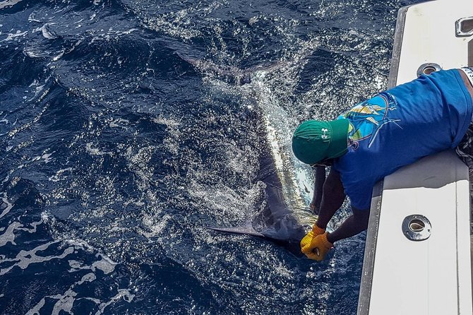 St Lucia Sport Fishing Tour - The real value of the $120 price
