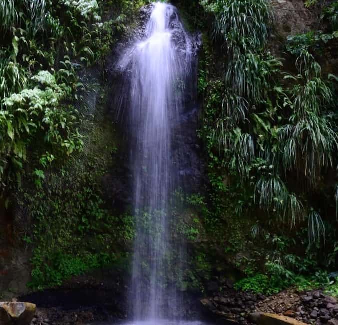 St. Lucia: Sulphur Springs Mud Bath and Toraille Waterfall - Creole lunch gives the tour a local pause