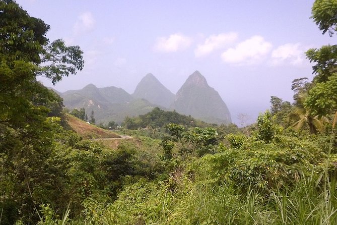 St. Lucia Tet Paul Nature Trail Tour - Key points to know before booking