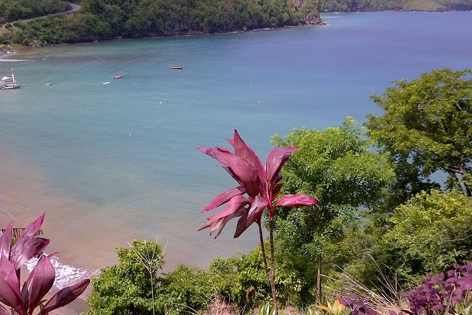 St. Lucia Tet Paul Nature Trail Tour - Is the $145 price fair?