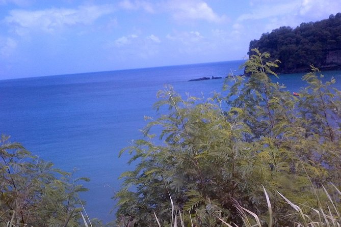 St. Lucia Tet Paul Nature Trail Tour - Who will enjoy this tour most?