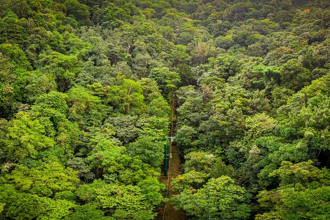 St Lucia Ultimate 3: Aerial Tram, Zipline and Hiking at Rainforest Adventures - The aerial tram is the quiet center of the day