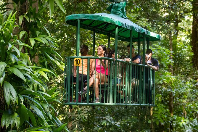 St Lucia Ultimate 3: Aerial Tram, Zipline and Hiking at Rainforest Adventures - The walk to the canopy is short but uphill