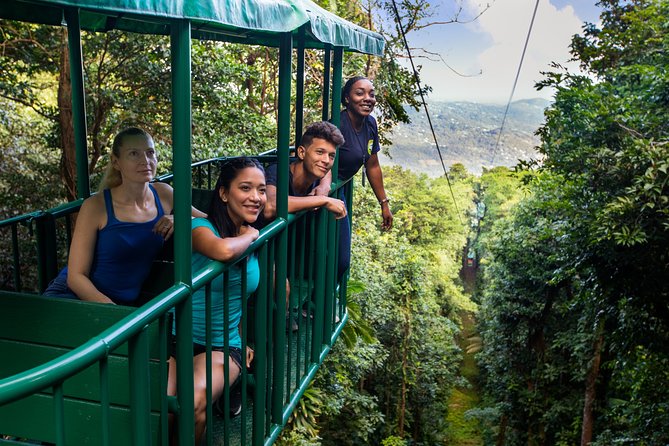 St Lucia Ultimate 3: Aerial Tram, Zipline and Hiking at Rainforest Adventures - Eight zip lines through the upper forest