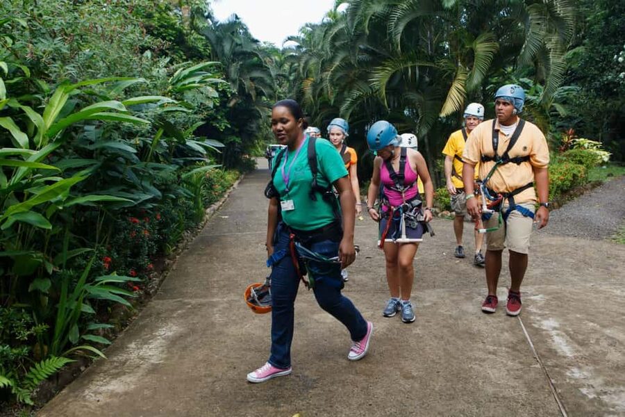 St Lucia Ultimate 3 Package: Aerial Tram Zip Line & Hiking - The short trail is more important than its distance