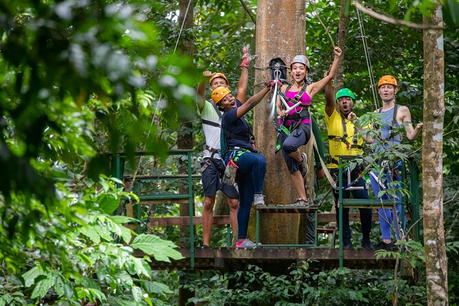 St Lucia Ultimate 3 Package: Aerial Tram, Zipline and Hiking - Riding above the canopy on the aerial tram