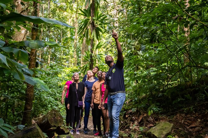 St Lucia Ultimate 3 Package: Aerial Tram, Zipline and Hiking - Guides, safety, and the right pace