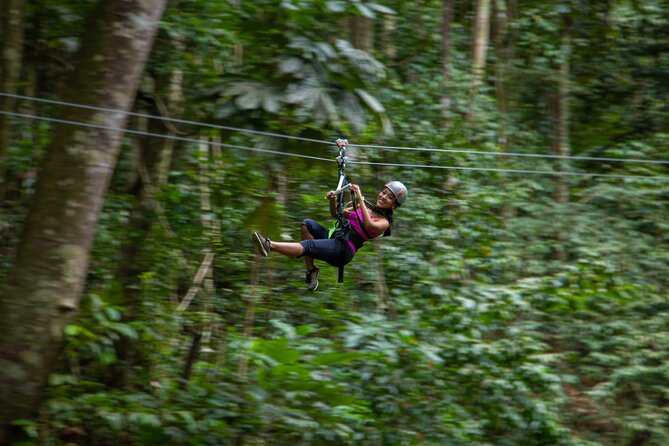 St Lucia Ultimate 3 Package: Aerial Tram, Zipline and Hiking - What the $109 price really covers