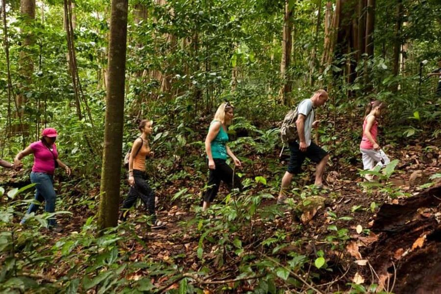 St. Lucia: Zip Line, Aerial Tram, and Hiking Tour - Key Points at a Glance