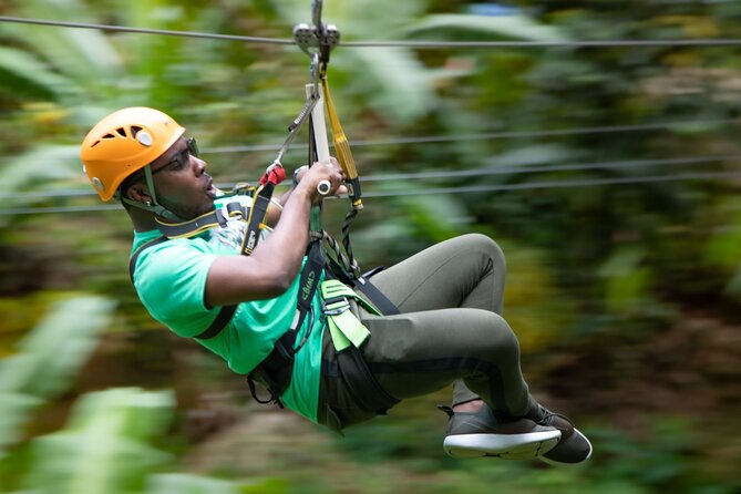 St. Lucia Zip line, Aerial Tram and Hiking tour Ultimate 3 - The Rainforest Comes First, Not the Zip Line