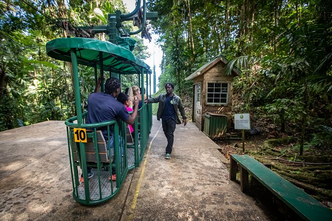 St. Lucia Zip line, Aerial Tram and Hiking tour Ultimate 3 - The 40-Minute Ride to the Top
