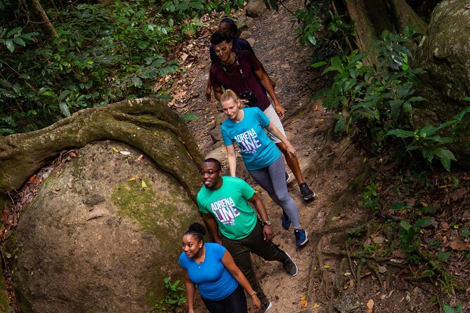 St. Lucia Zip line, Aerial Tram and Hiking tour Ultimate 3 - The Hike to the First Platform