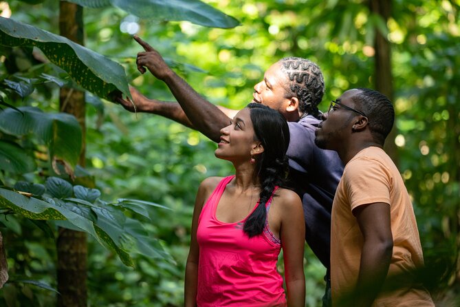 St. Lucia Zip line, Aerial Tram and Hiking tour Ultimate 3 - The Return Hike Is the Part to Respect
