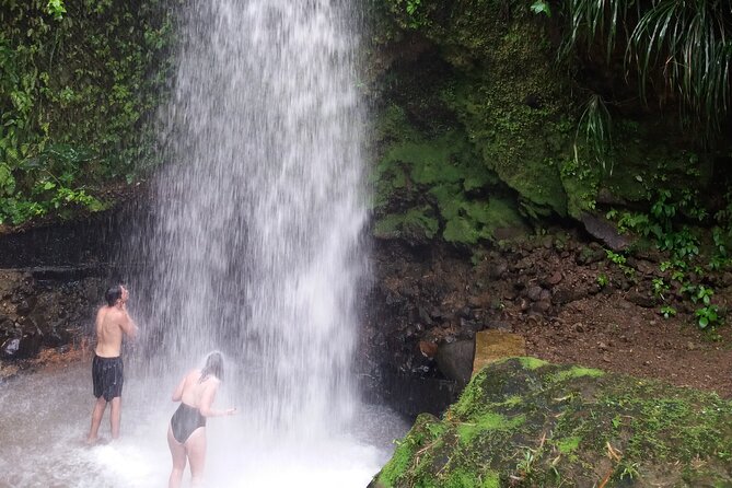 Sulphur Springs Mud Bath and Toraille Waterfall Tour with Creole Lunch - At a glance: what makes this tour worthwhile