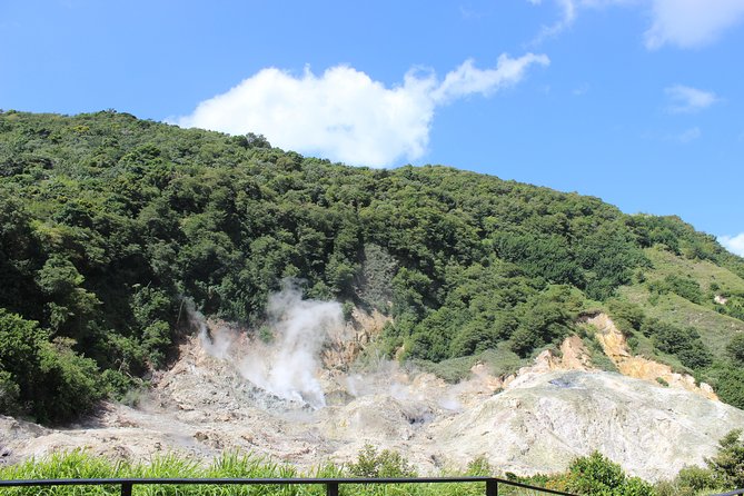 The Best of Saint Lucia Tour - Who will enjoy this outing most?