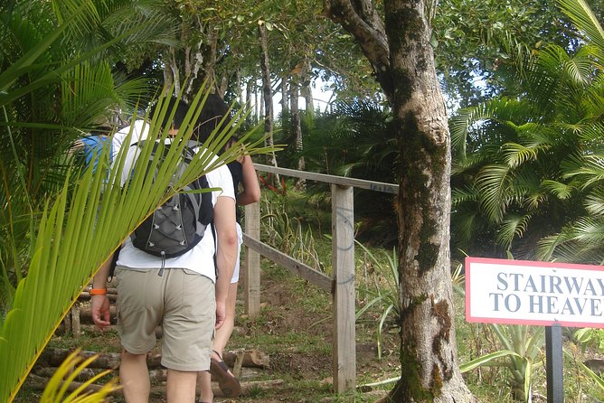 The Best of Saint Lucia Tour - Sulphur Springs and St. Lucia’s volcanic ground
