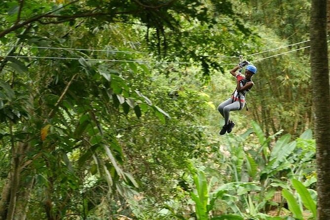 Treetop Adventure Park Canopy Tour - From the port or hotel to the rainforest