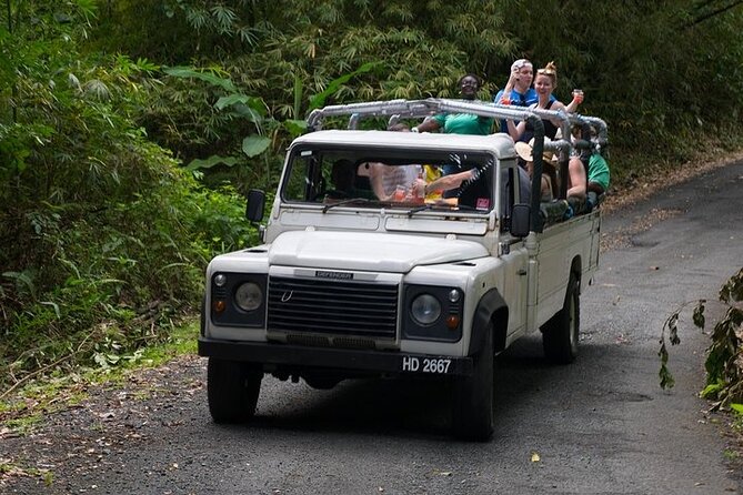 Treetop Adventure Park Canopy Tour - Twelve lines through St Lucia’s rainforest