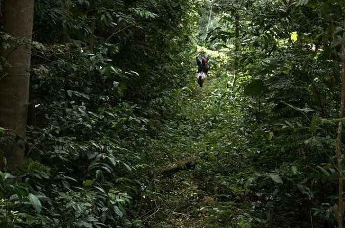 Treetop Adventure Park Canopy Tour - How long does this really take?