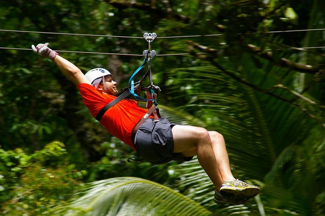 Treetop Canopy Adventure - The two net bridges add welcome variety