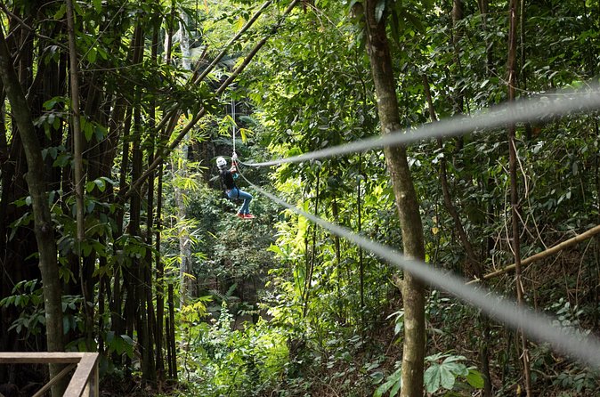 Treetop Canopy Adventure - A 7:00 am start shapes the whole morning