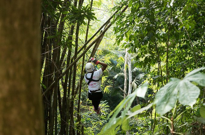 Treetop Canopy Adventure - Group size and the guide-led setup