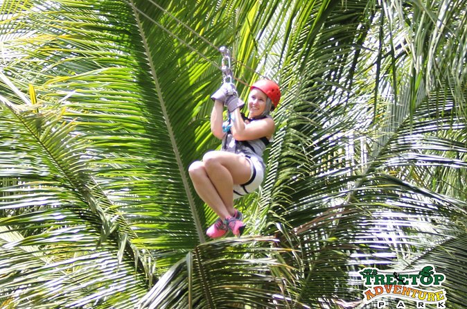 Treetop Canopy Adventure - Who will enjoy this most