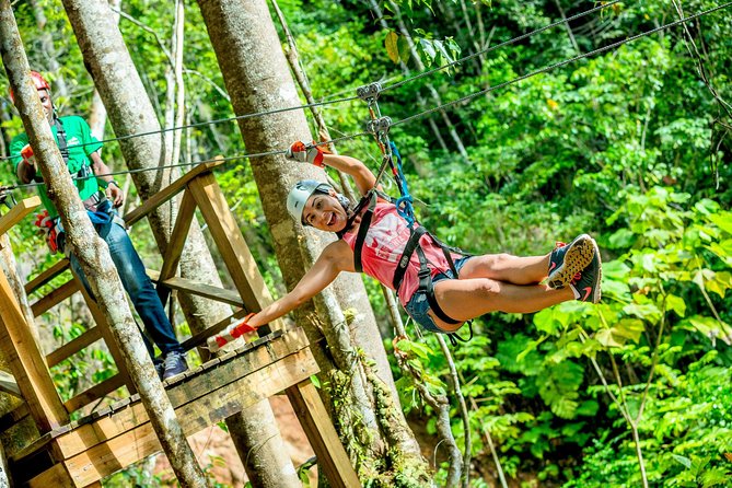 Treetop Zipline Experience From Castries - Key points to know before booking