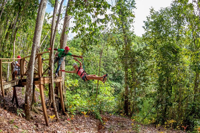 Treetop Zipline Experience From Castries - From Rodney Bay to the rainforest