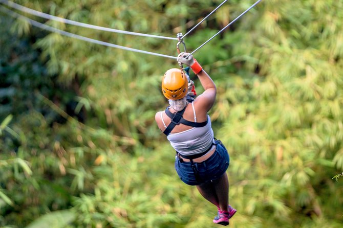 Treetop Zipline Experience From Castries - Twelve lines through the canopy