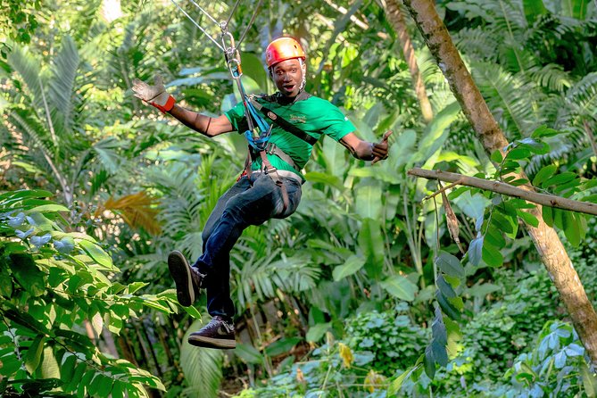 Treetop Zipline Experience From Castries - The 150-foot viewpoint