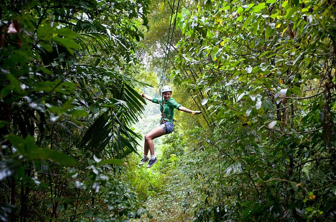 Treetop Zipline Experience From Castries - What the $121.60 price means