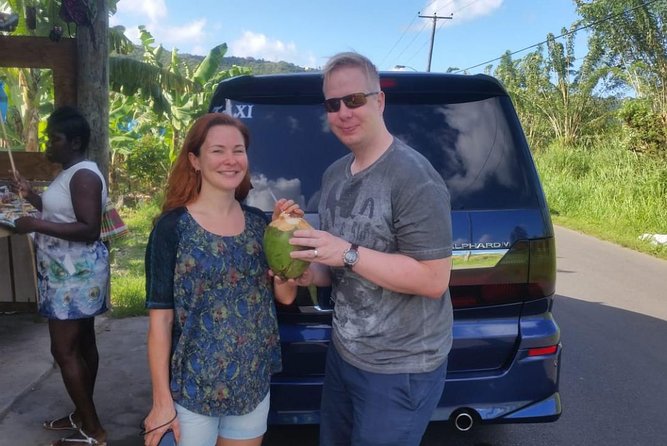 Trip to Soufiere: Volcano, Twin Pitons, Waterfall, Mud Bath & Botanical Garden - Sulphur Springs and the drive-in volcano