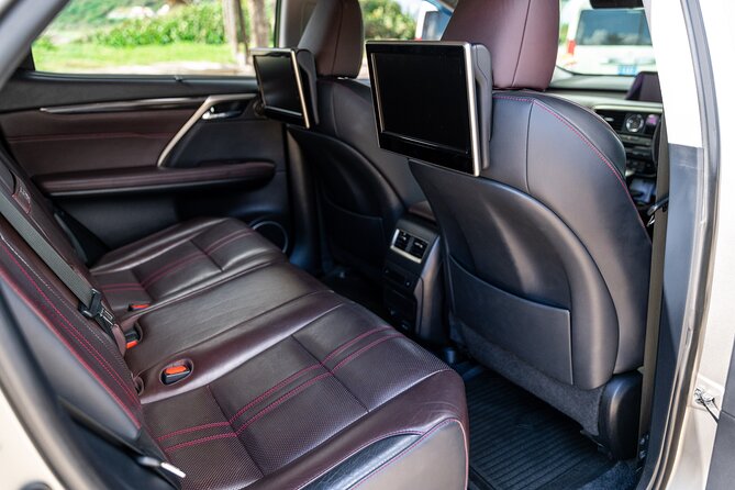 UVF Private Luxury Transport Service in St Lucia (Round Trip) - A private welcome in Vieux Fort