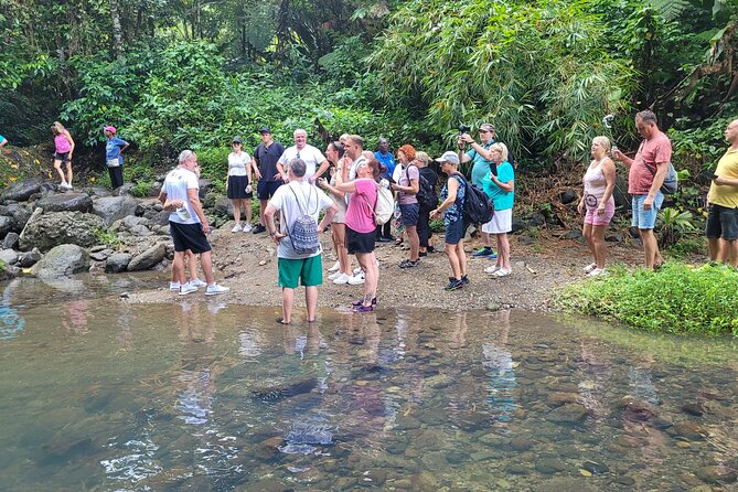 Waterfall and Beach Safari in Santa Lucia - Anse La Raye feels more personal than a resort stop