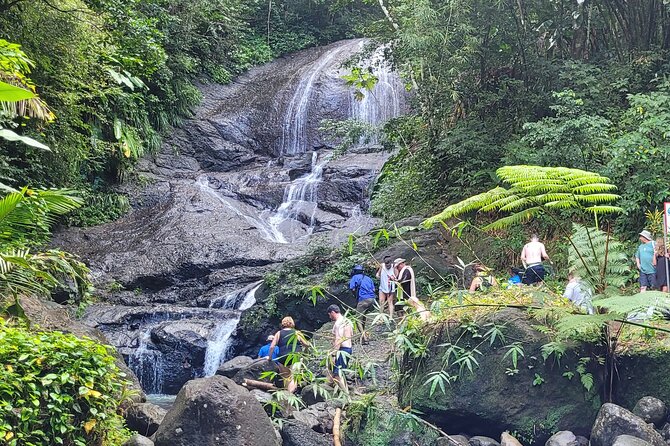Waterfall and Beach Safari in Santa Lucia - The rainforest trail leads to Venus Waterfall