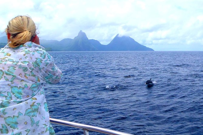 Whale and Dolphin Watching Cruise in St Lucia - St Lucia’s Coastline From the Water