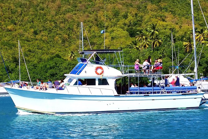 Whale and Dolphin Watching Cruise in St Lucia - Booking, Cancellation, and Small Practical Details