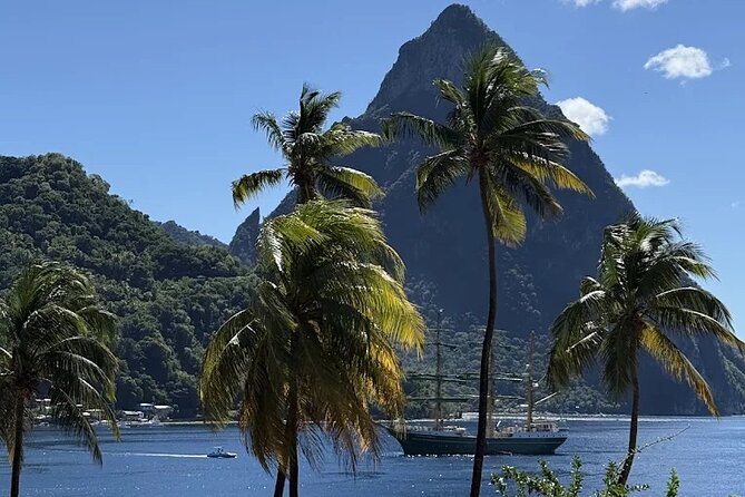 Wow Tours St. Lucia (COVID-19 Certified) - Key points before you book